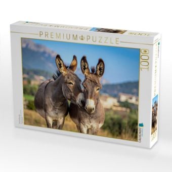 Produktbild: CALVENDO Puzzle Zwei Eselfreunde | 1000 Teile Lege-Gr&ouml;&szlig;e 64x48cm Foto-Puzzle f&uuml;r gl&uuml;ckliche Stunden
