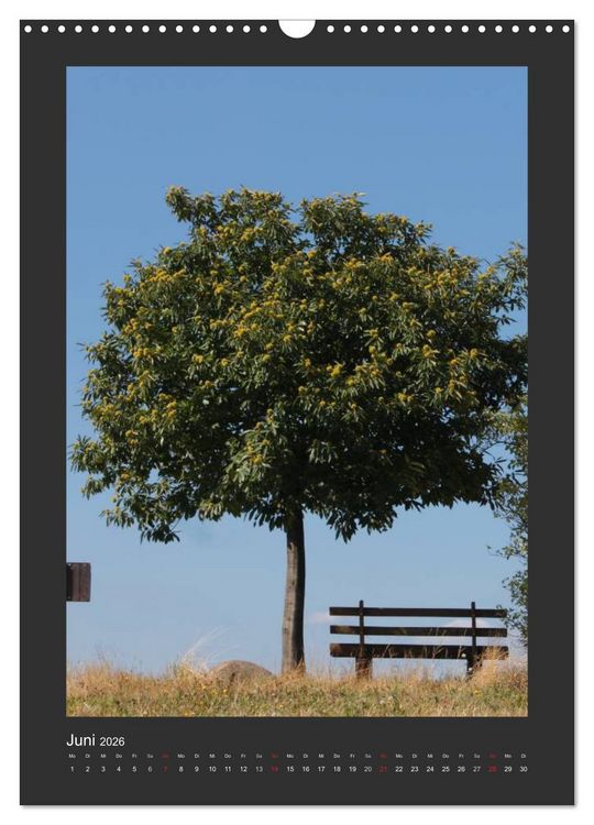 Produktbild: Odenwald - Impressionen einer Landschaft (Wandkalender 2026 DIN A3 hoch), CALVENDO Monatskalender