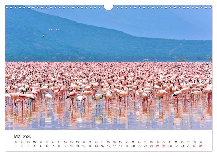 Produktbild: Kenia - Ein Land wie Afrika (Wandkalender 2026 DIN A3 quer), CALVENDO Monatskalender