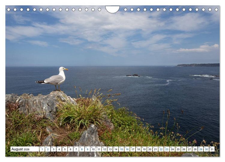 Produktbild: Der n&ouml;rdliche Jakobsweg (Wandkalender 2026 DIN A4 quer), CALVENDO Monatskalender