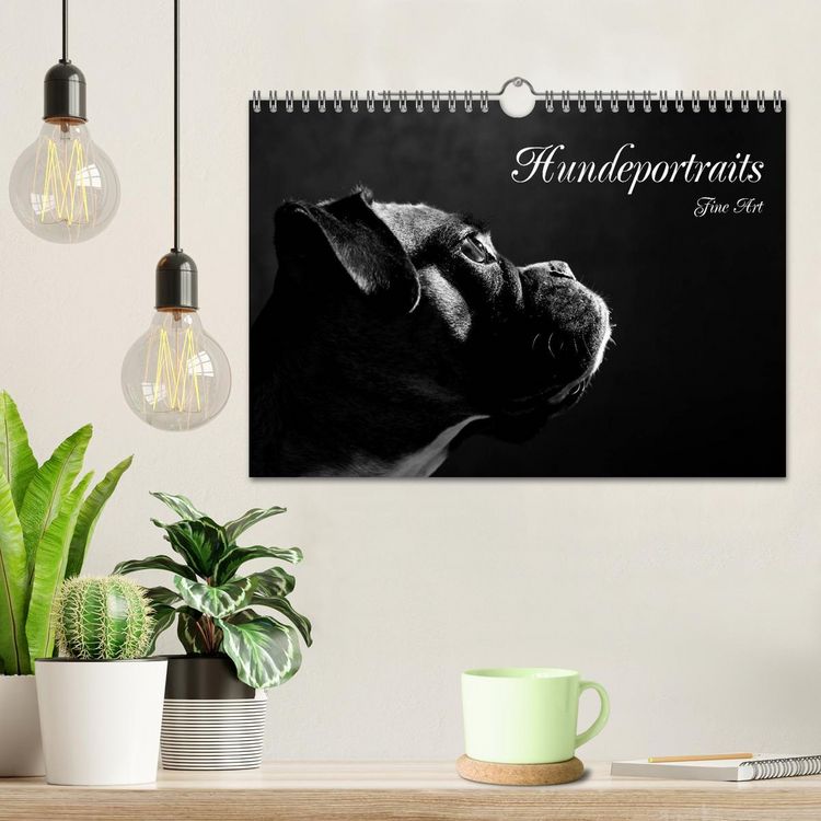Produktbild: Hundeportraits Fine Art (Wandkalender 2026 DIN A4 quer), CALVENDO Monatskalender
