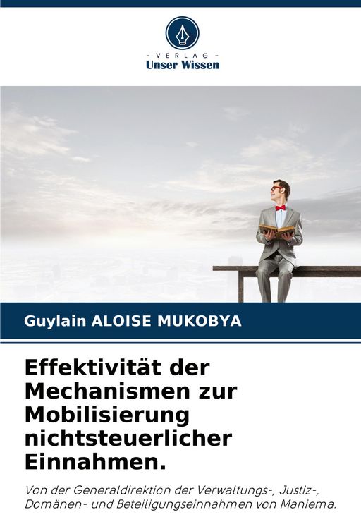 Produktbild: Effektivit&auml;t der Mechanismen zur Mobilisierung nichtsteuerlicher Einnahmen.