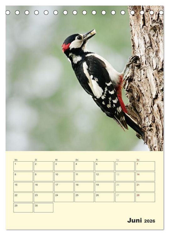 Produktbild: Vogelwelt an der Sieg (Tischkalender 2026 DIN A5 hoch), CALVENDO Monatskalender