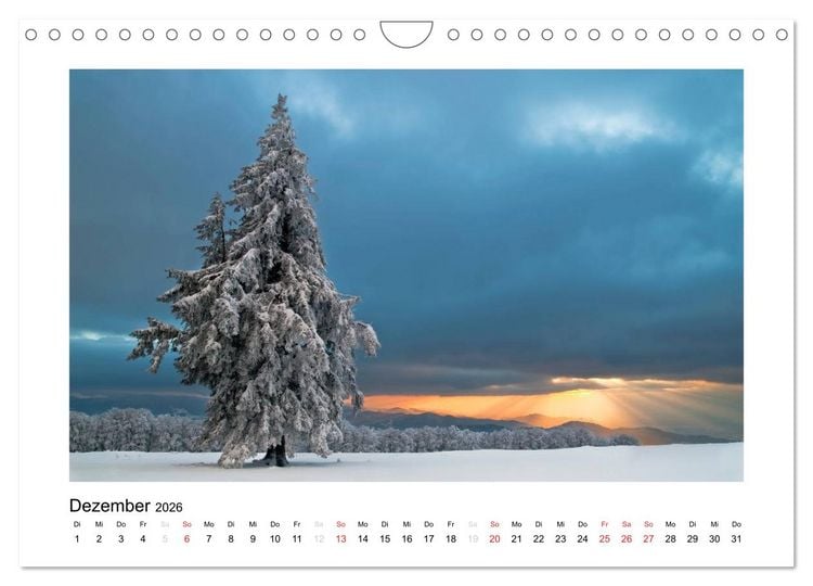 Produktbild: Schwarzwald 2026 (Wandkalender 2026 DIN A4 quer), CALVENDO Monatskalender