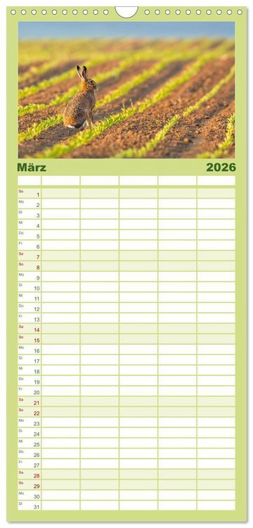 Produktbild: Familienplaner 2026 - Magie Heimische Natur mit 5 Spalten (Wandkalender, 21 x 45 cm) CALVENDO