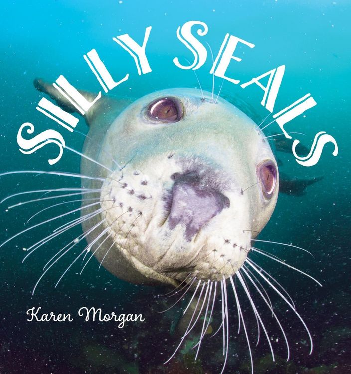 Produktbild: Silly Seals