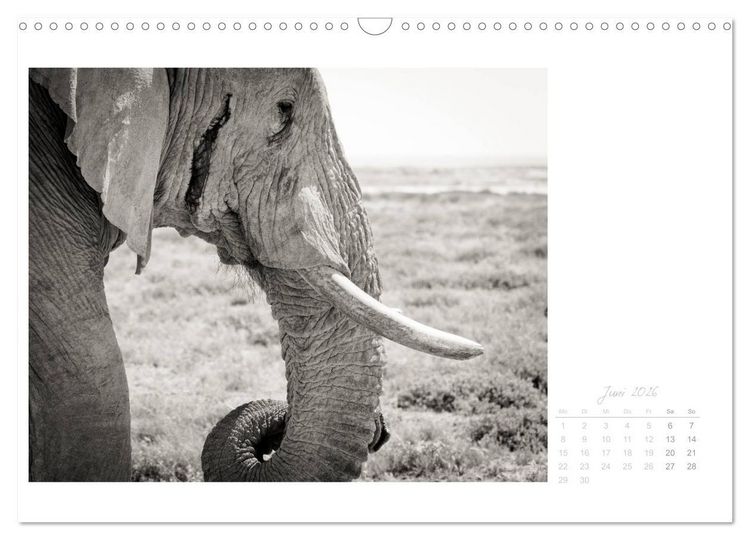 Produktbild: Elefanten in Etosha (Wandkalender 2026 DIN A3 quer), CALVENDO Monatskalender