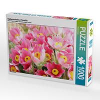 Produktbild: CALVENDO Puzzle K&uuml;chenschellen, Pulsatilla | 1000 Teile Lege-Gr&ouml;&szlig;e 64x48cm Foto-Puzzle f&uuml;r gl&uuml;ckliche Stunden