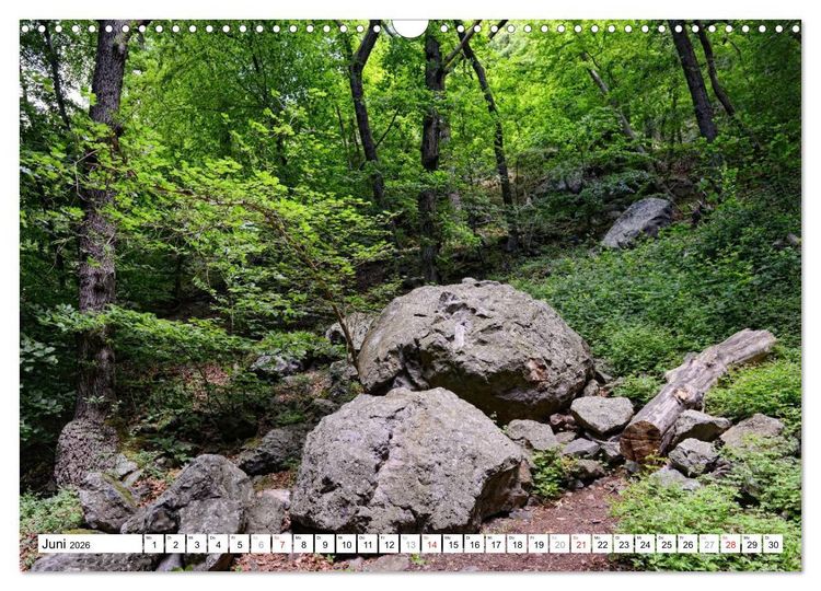 Produktbild: Naturlandschaft Laacher See (Wandkalender 2026 DIN A3 quer), CALVENDO Monatskalender