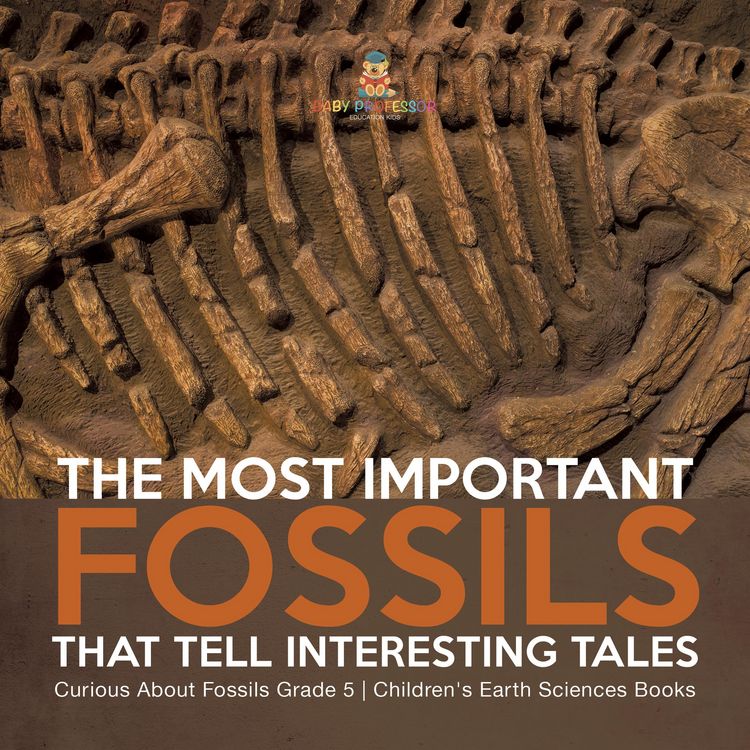 Produktbild: The Most Important Fossils That Tell Interesting Tales | Curious About Fossils Grade 5 | Children's Earth Sciences Books