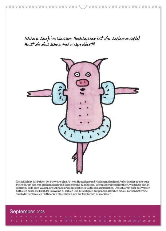 Produktbild: Schweinekalender - Alles was du &uuml;ber Schweine wissen wolltest! (Wandkalender 2026 DIN A2 hoch), CALVENDO Monatskalender