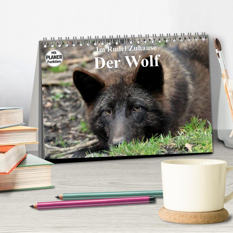 Produktbild: Im Rudel Zuhause - Der Wolf (Tischkalender 2026 DIN A5 quer), CALVENDO Monatskalender