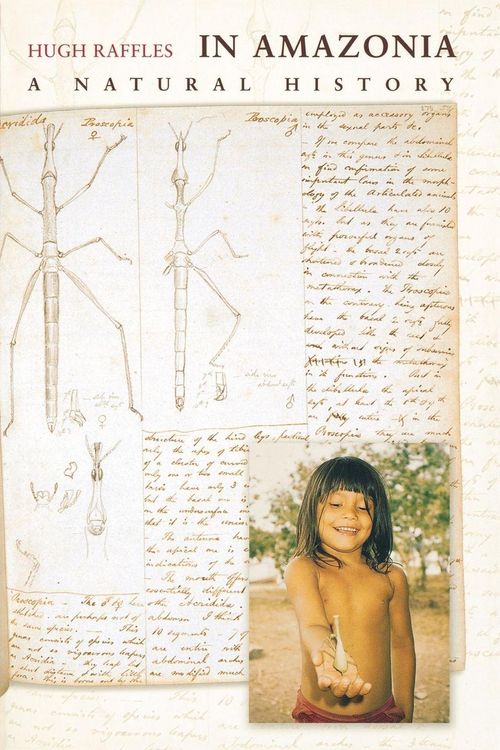 Produktbild: In Amazonia