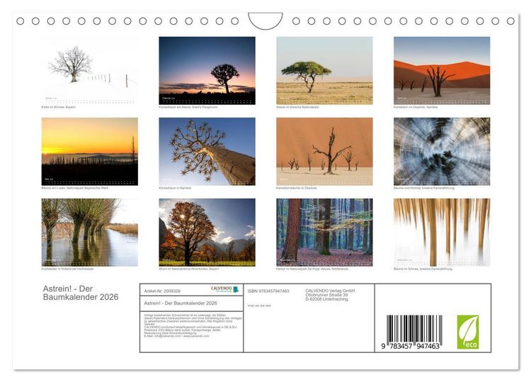 Produktbild: Astrein! - Der Baumkalender 2026 (Wandkalender 2026 DIN A4 quer), CALVENDO Monatskalender