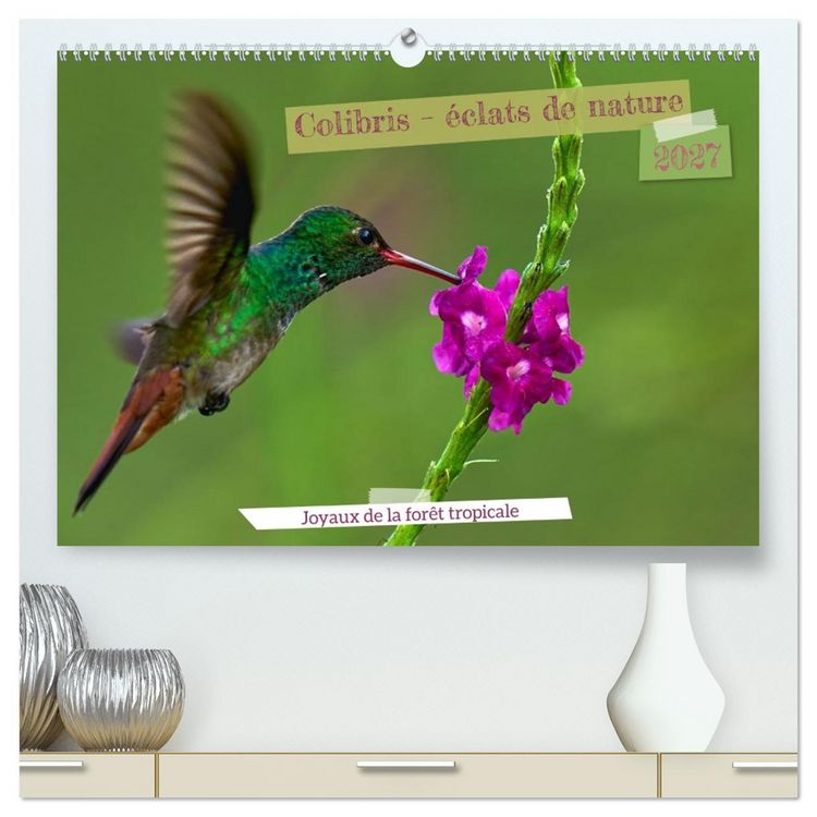Produktbild: Colibris &ndash; &eacute;clats de nature (Calendrier mural 2027 DIN A2 vertical) calendrier de bureau