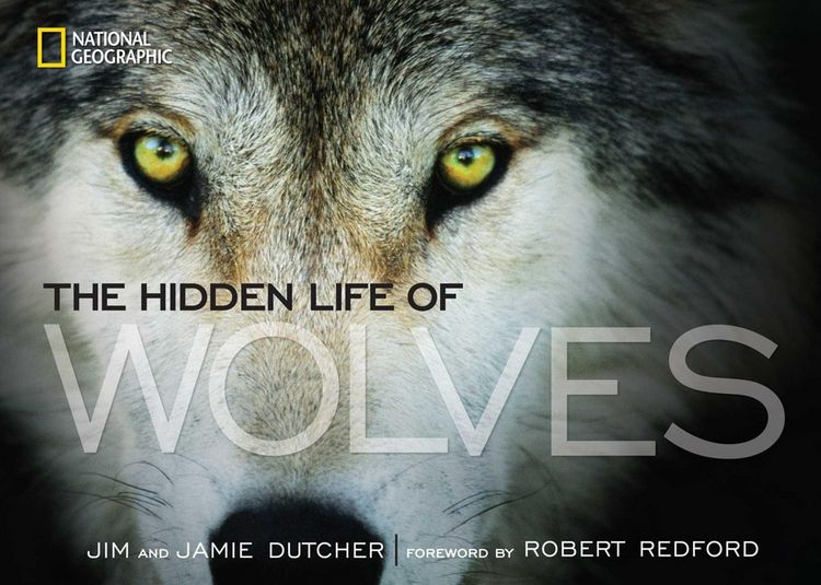 Produktbild: The Hidden Life of Wolves