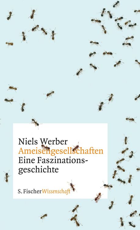 Produktbild: Ameisengesellschaften