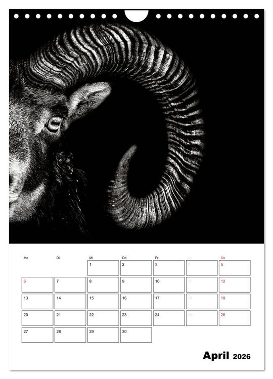 Produktbild: Charakterk&ouml;pfe aus der Welt der Tiere (Wandkalender 2026 DIN A4 hoch), CALVENDO Monatskalender