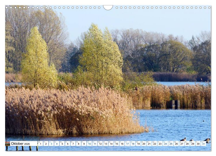 Produktbild: Land Brandenburg - Natur und Erholung im m&auml;rkischen Land (Wandkalender 2026 DIN A3 quer), CALVENDO Monatskalender