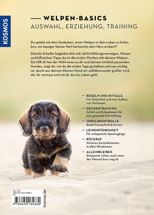 Produktbild: Welpen erziehen mit Erfolg