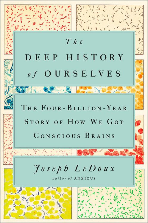 Produktbild: The Deep History of Ourselves