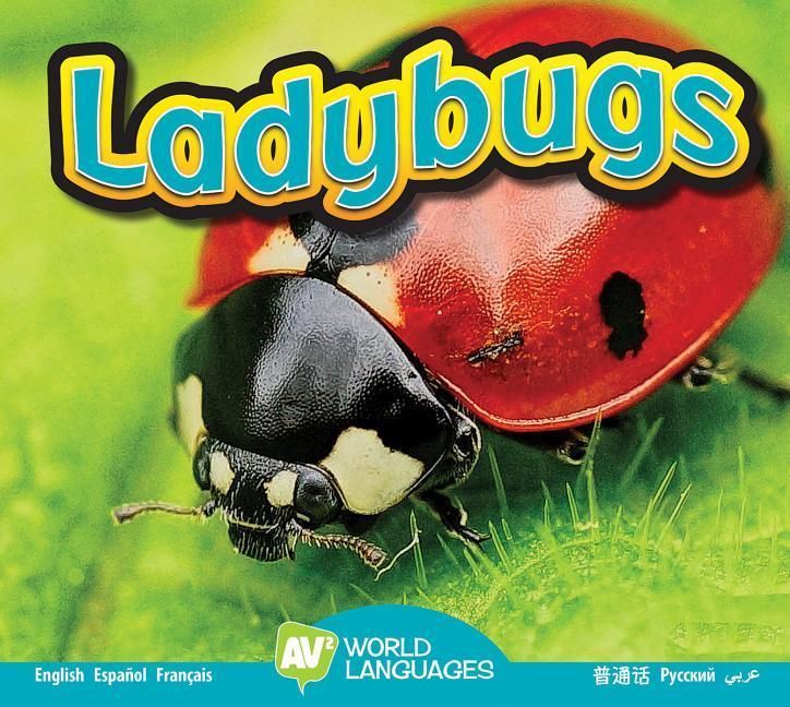 Produktbild: Ladybugs