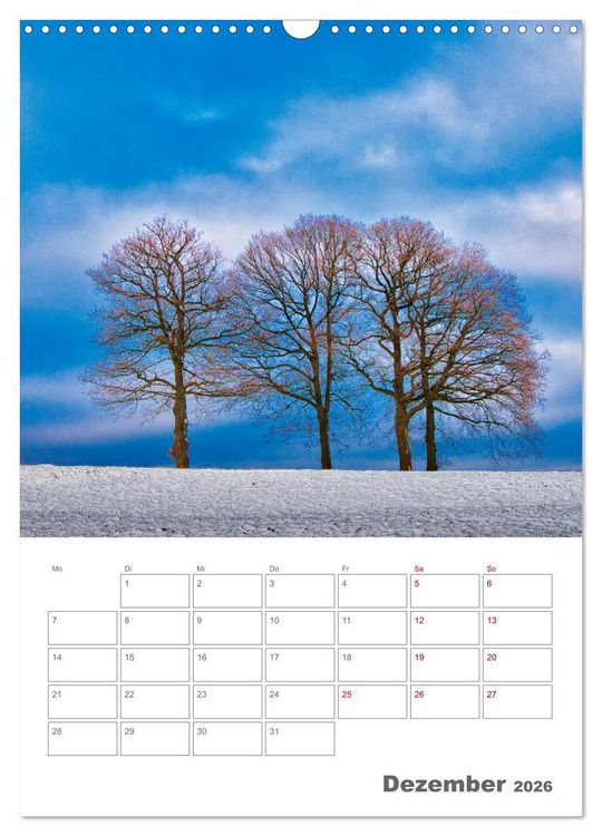 Produktbild: Planen mit dem Symbol der inneren St&auml;rke (Wandkalender 2026 DIN A3 hoch), CALVENDO Monatskalender