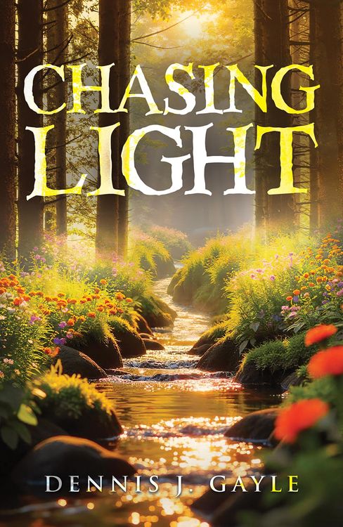Produktbild: Chasing Light