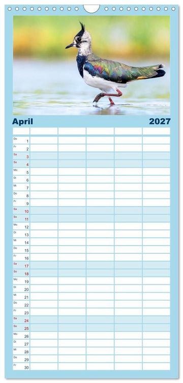 Produktbild: Familienplaner 2027 - Limikolen - Watv&ouml;gel aus Europa mit 5 Spalten (Wandkalender, 21 x 45 cm) CALVENDO