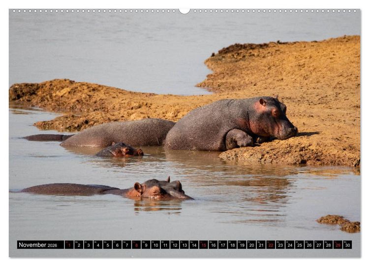 Produktbild: Sambia "Das wirkliche Afrika" (Wandkalender 2026 DIN A2 quer), CALVENDO Monatskalender