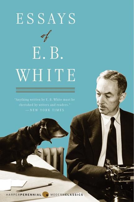 Produktbild: Essays of E. B. White