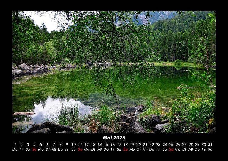 Produktbild: Pflanzen und Bl&uuml;ten 2025 Fotokalender DIN A3