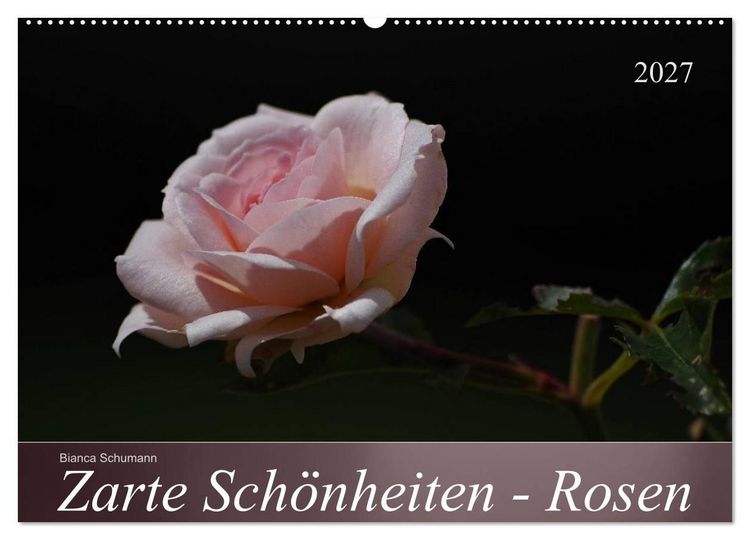 Produktbild: Zarte Sch&ouml;nheiten - Rosen (Wandkalender 2027 DIN A2 quer), CALVENDO Monatskalender