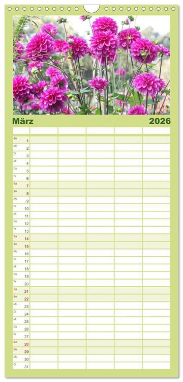 Produktbild: Familienplaner 2026 - Traumhafte Dahlien mit 5 Spalten (Wandkalender, 21 x 45 cm) CALVENDO