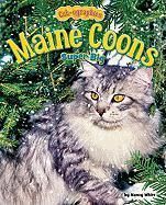 Produktbild: Maine Coons