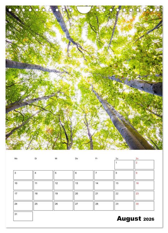 Produktbild: Insel R&uuml;gen - Wilde Sch&ouml;nheit an der Ostsee (Wandkalender 2026 DIN A4 hoch), CALVENDO Monatskalender