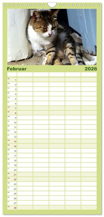 Produktbild: Familienplaner 2026 - SAMTPFOTEN "fellnah" mit 5 Spalten (Wandkalender, 21 x 45 cm) CALVENDO