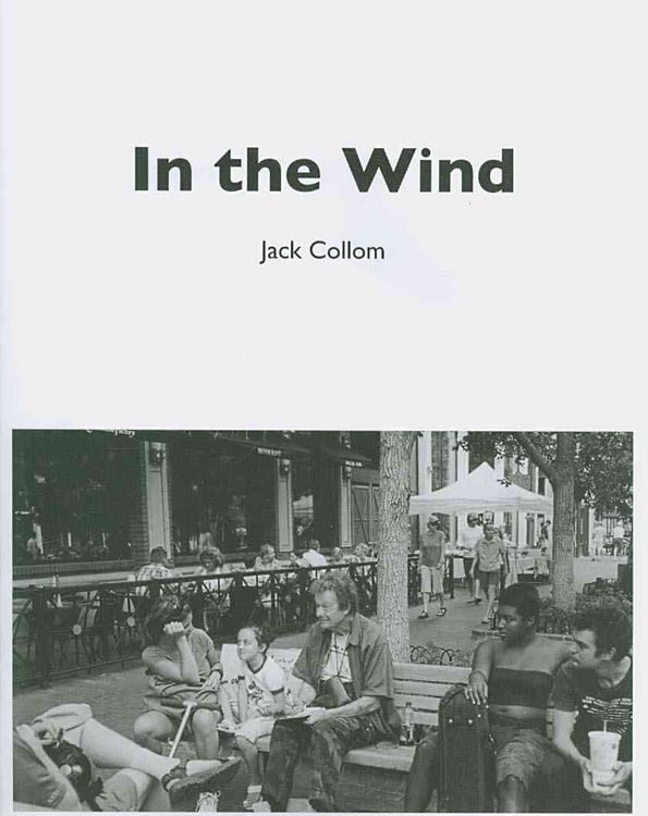 Produktbild: In The Wind