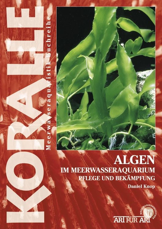 Produktbild: Algen im Meerwasseraquarium