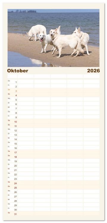 Produktbild: Familienplaner 2026 - Berger Blanc Suisse - Weggef&auml;hrten auf 4 Pfoten mit 5 Spalten (Wandkalender, 21 x 45 cm) CALVENDO