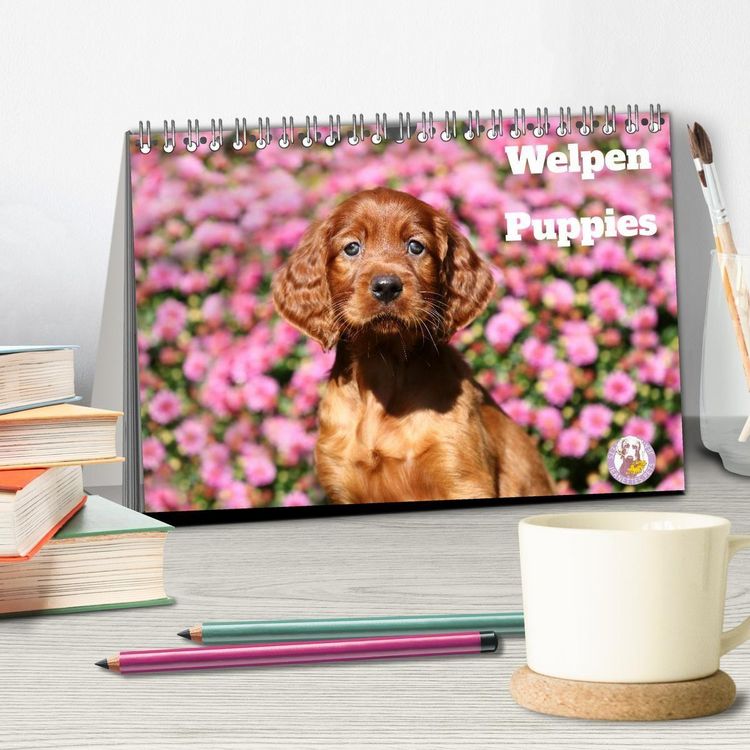 Produktbild: Welpen - Puppies (Tischkalender 2027 DIN A5 quer), CALVENDO Monatskalender
