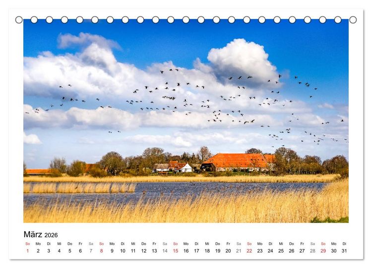 Produktbild: OSTFRIESLAND Strand und Mee(h)r (Tischkalender 2026 DIN A5 quer), CALVENDO Monatskalender