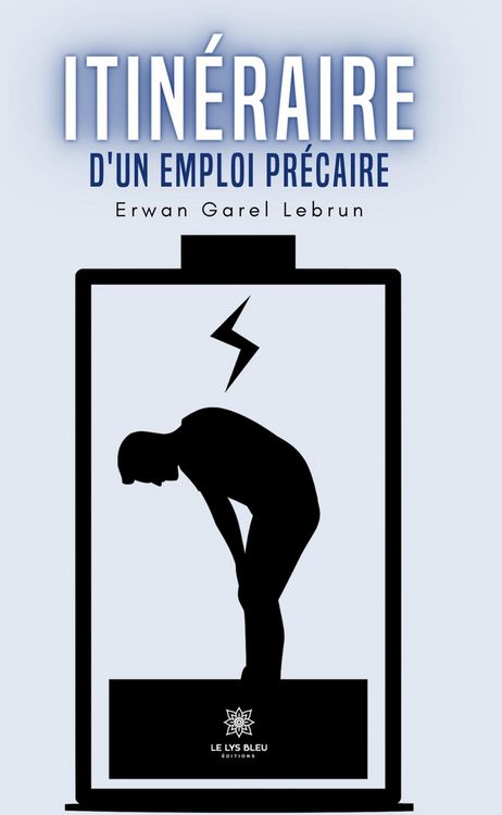 Produktbild: Itin&eacute;raire d'un emploi pr&eacute;caire
