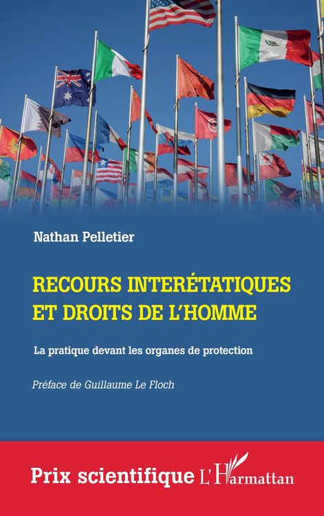 Produktbild: Recours interetatiques et droits de l'homme