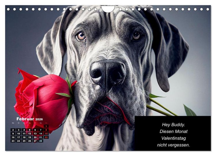 Produktbild: Der humoristische Dogge Kalender (Wandkalender 2026 DIN A4 quer), CALVENDO Monatskalender