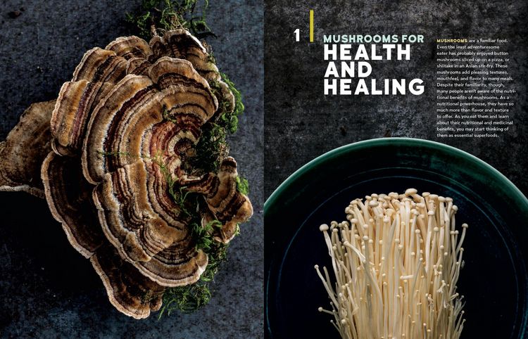 Produktbild: Christopher Hobbs's Medicinal Mushrooms: The Essential Guide