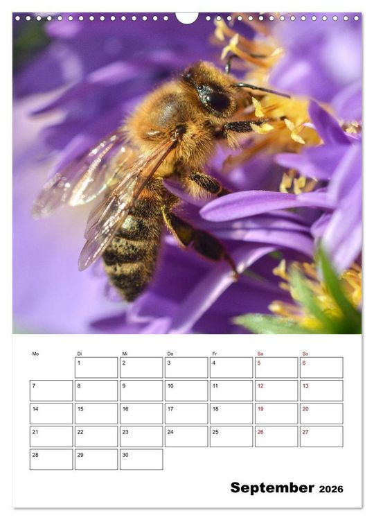 Produktbild: Hummeln und Bienen Terminplaner (Wandkalender 2026 DIN A3 hoch), CALVENDO Monatskalender