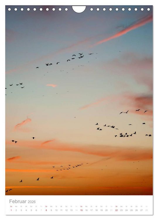 Produktbild: Der Flug der Kraniche (Wandkalender 2026 DIN A4 hoch), CALVENDO Monatskalender