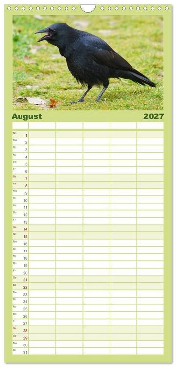 Produktbild: Familienplaner 2027 - Das Leben der Rabenv&ouml;gel mit 5 Spalten (Wandkalender, 21 x 45 cm) CALVENDO