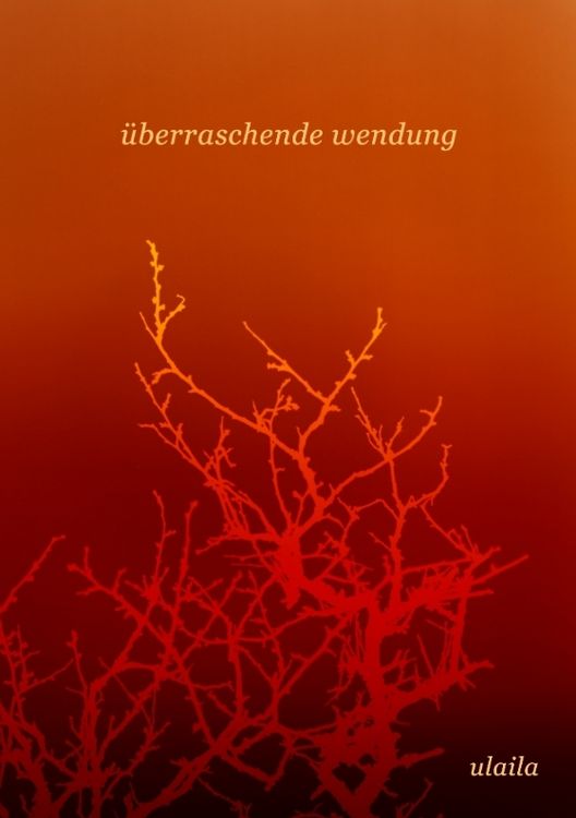 Produktbild: &uuml;berraschende wendung